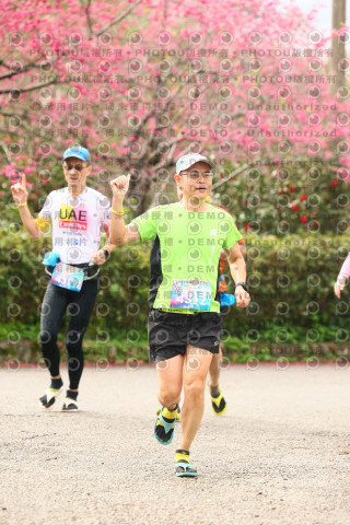 2026左岸竹東櫻花馬拉松Zhudong Sakura Marathon