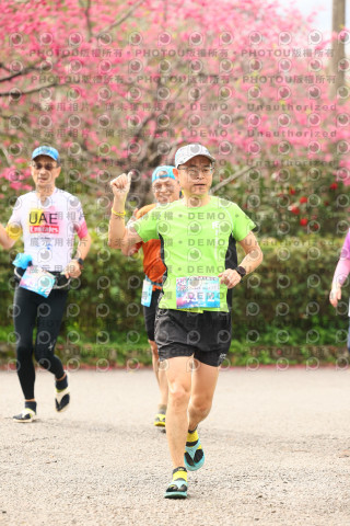 2026左岸竹東櫻花馬拉松Zhudong Sakura Marathon