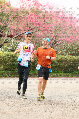2026左岸竹東櫻花馬拉松Zhudong Sakura Marathon
