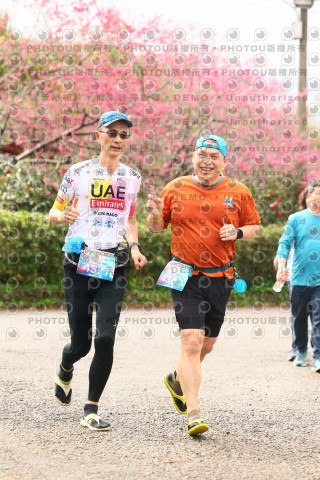 2026左岸竹東櫻花馬拉松Zhudong Sakura Marathon