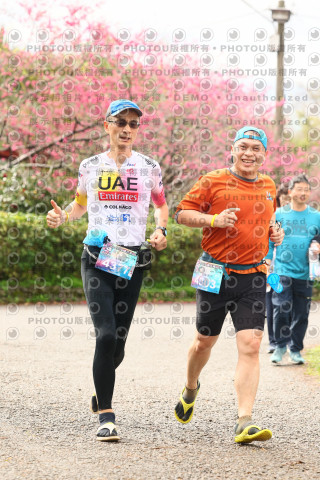 2026左岸竹東櫻花馬拉松Zhudong Sakura Marathon