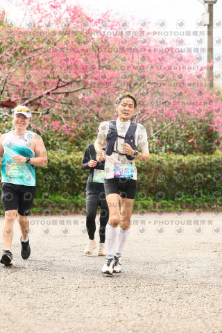 2026左岸竹東櫻花馬拉松Zhudong Sakura Marathon