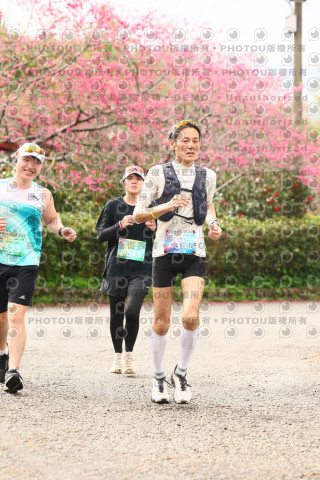 2026左岸竹東櫻花馬拉松Zhudong Sakura Marathon