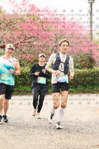 2026左岸竹東櫻花馬拉松Zhudong Sakura Marathon