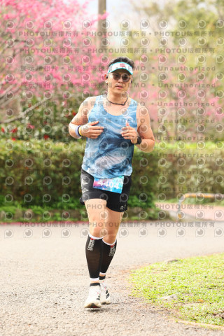 2026左岸竹東櫻花馬拉松Zhudong Sakura Marathon