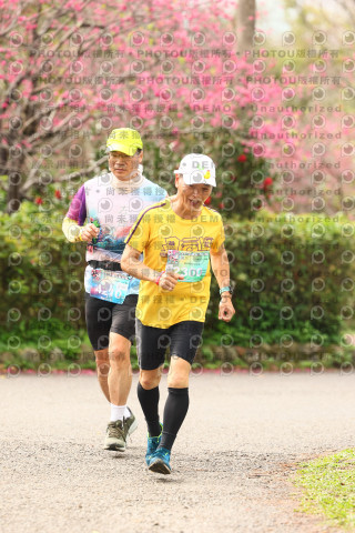 2026左岸竹東櫻花馬拉松Zhudong Sakura Marathon