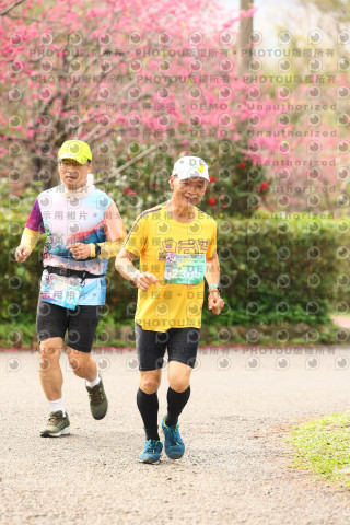 2026左岸竹東櫻花馬拉松Zhudong Sakura Marathon