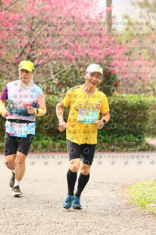 2026左岸竹東櫻花馬拉松Zhudong Sakura Marathon
