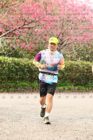 2026左岸竹東櫻花馬拉松Zhudong Sakura Marathon