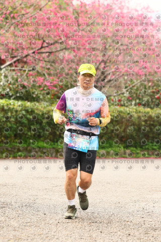 2026左岸竹東櫻花馬拉松Zhudong Sakura Marathon