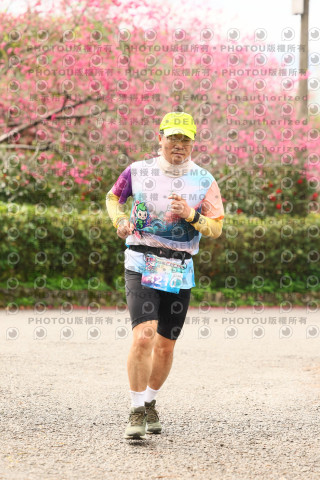 2026左岸竹東櫻花馬拉松Zhudong Sakura Marathon