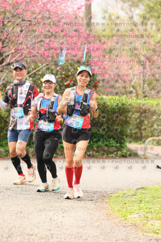 2026左岸竹東櫻花馬拉松Zhudong Sakura Marathon