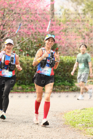 2026左岸竹東櫻花馬拉松Zhudong Sakura Marathon