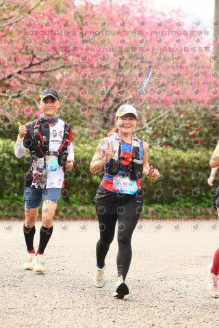 2026左岸竹東櫻花馬拉松Zhudong Sakura Marathon