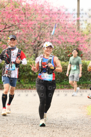 2026左岸竹東櫻花馬拉松Zhudong Sakura Marathon