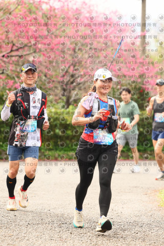 2026左岸竹東櫻花馬拉松Zhudong Sakura Marathon