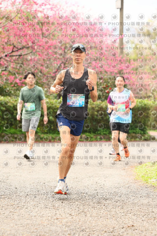 2026左岸竹東櫻花馬拉松Zhudong Sakura Marathon