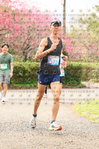 2026左岸竹東櫻花馬拉松Zhudong Sakura Marathon