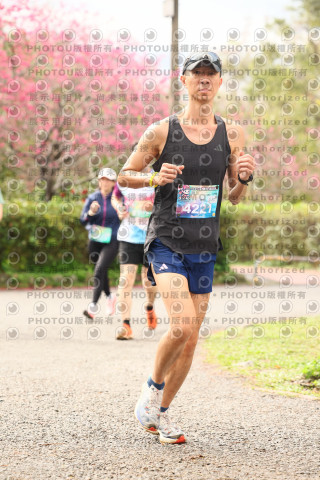 2026左岸竹東櫻花馬拉松Zhudong Sakura Marathon