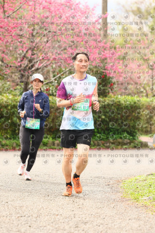 2026左岸竹東櫻花馬拉松Zhudong Sakura Marathon