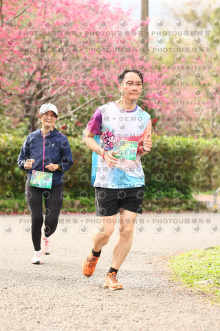 2026左岸竹東櫻花馬拉松Zhudong Sakura Marathon