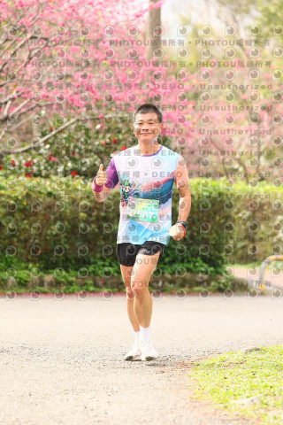 2026左岸竹東櫻花馬拉松Zhudong Sakura Marathon