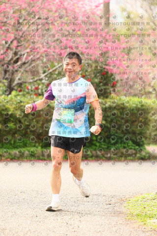2026左岸竹東櫻花馬拉松Zhudong Sakura Marathon