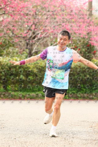 2026左岸竹東櫻花馬拉松Zhudong Sakura Marathon