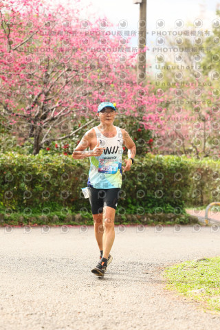2026左岸竹東櫻花馬拉松Zhudong Sakura Marathon