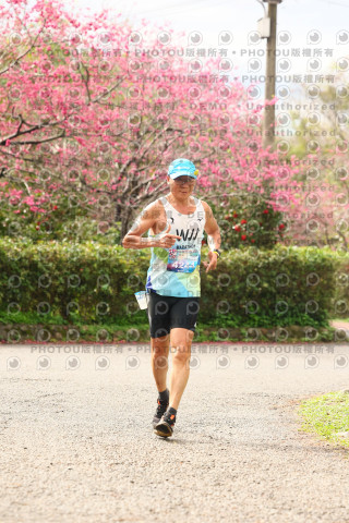 2026左岸竹東櫻花馬拉松Zhudong Sakura Marathon