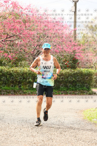 2026左岸竹東櫻花馬拉松Zhudong Sakura Marathon