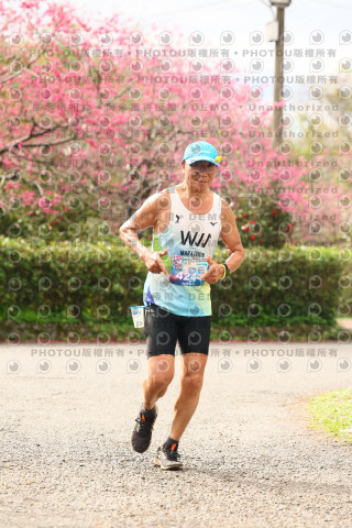 2026左岸竹東櫻花馬拉松Zhudong Sakura Marathon