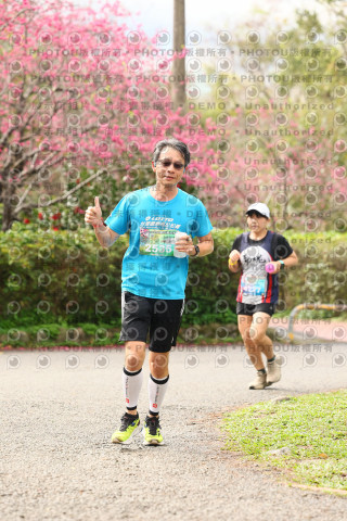 2026左岸竹東櫻花馬拉松Zhudong Sakura Marathon