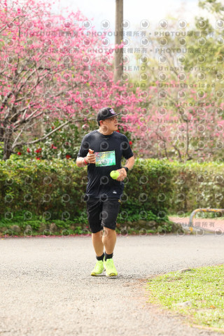 2026左岸竹東櫻花馬拉松Zhudong Sakura Marathon