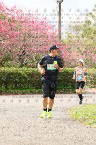 2026左岸竹東櫻花馬拉松Zhudong Sakura Marathon
