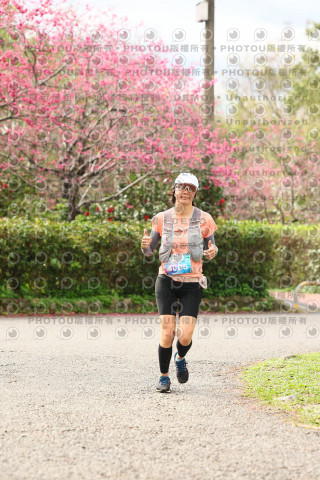 2026左岸竹東櫻花馬拉松Zhudong Sakura Marathon