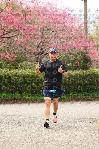 2026左岸竹東櫻花馬拉松Zhudong Sakura Marathon
