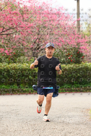 2026左岸竹東櫻花馬拉松Zhudong Sakura Marathon