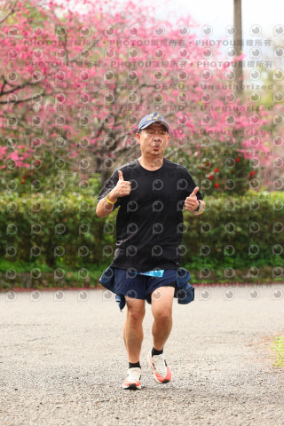 2026左岸竹東櫻花馬拉松Zhudong Sakura Marathon