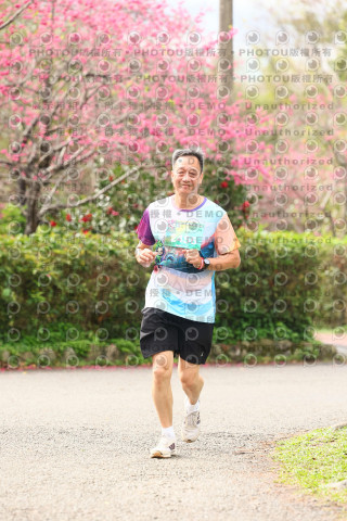 2026左岸竹東櫻花馬拉松Zhudong Sakura Marathon