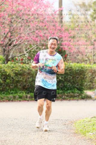 2026左岸竹東櫻花馬拉松Zhudong Sakura Marathon