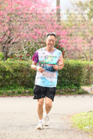 2026左岸竹東櫻花馬拉松Zhudong Sakura Marathon