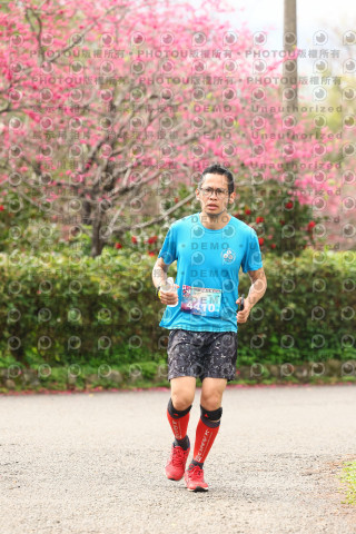2026左岸竹東櫻花馬拉松Zhudong Sakura Marathon
