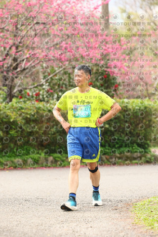 2026左岸竹東櫻花馬拉松Zhudong Sakura Marathon
