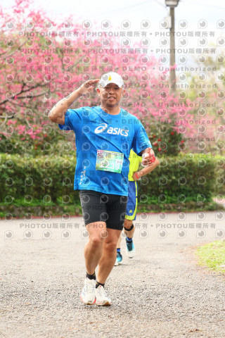 2026左岸竹東櫻花馬拉松Zhudong Sakura Marathon