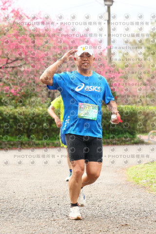 2026左岸竹東櫻花馬拉松Zhudong Sakura Marathon