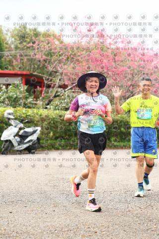2026左岸竹東櫻花馬拉松Zhudong Sakura Marathon