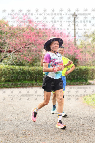 2026左岸竹東櫻花馬拉松Zhudong Sakura Marathon