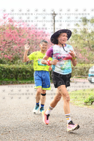 2026左岸竹東櫻花馬拉松Zhudong Sakura Marathon