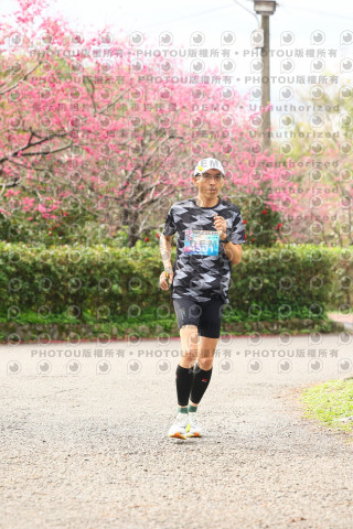 2026左岸竹東櫻花馬拉松Zhudong Sakura Marathon